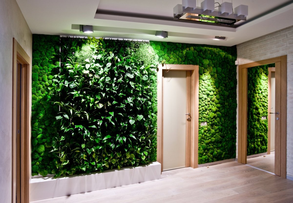 Неоновая подсветка