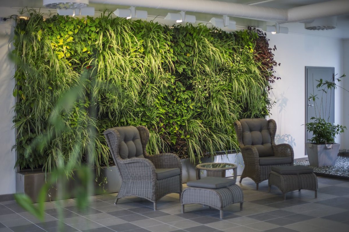 Фитостена из стабилизированных растений