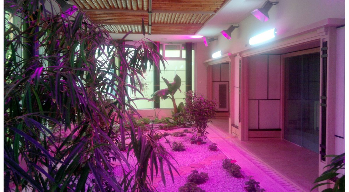 Фитолампа 70w 3790 р