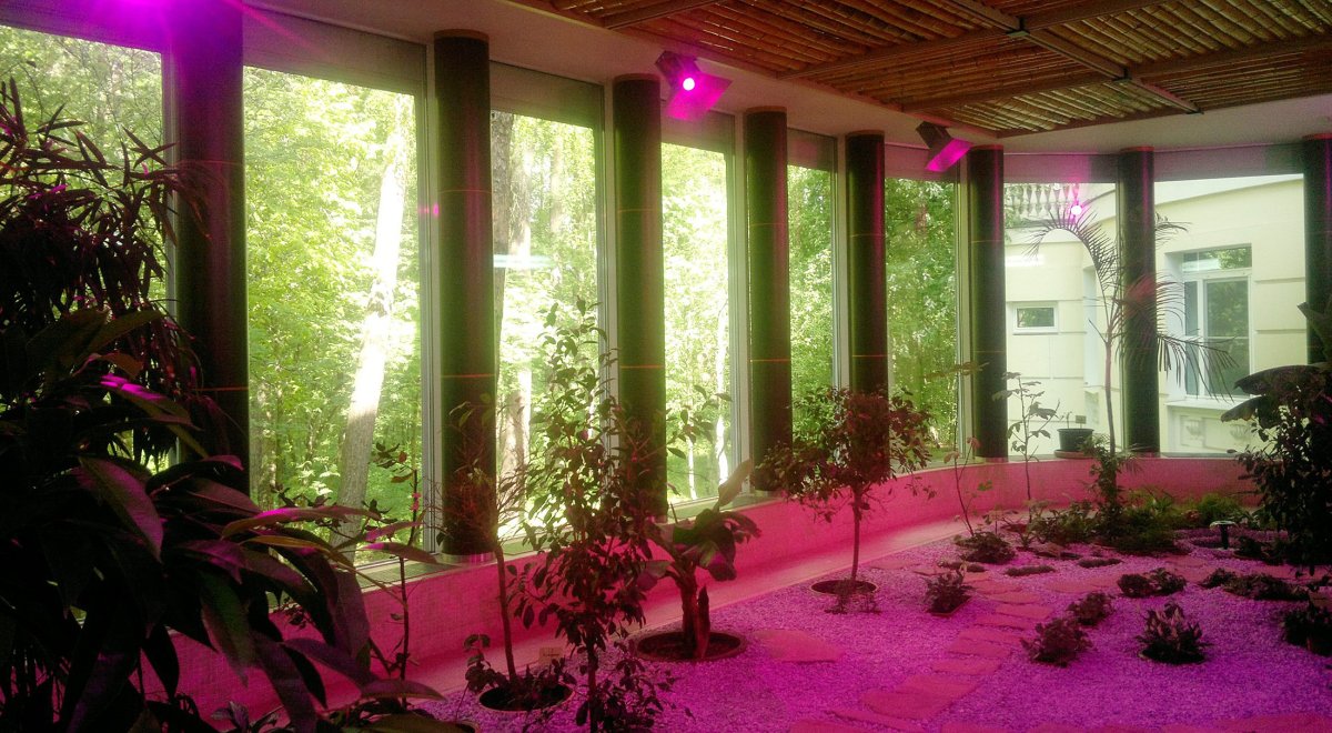 Uniel фитолампа 60см высота