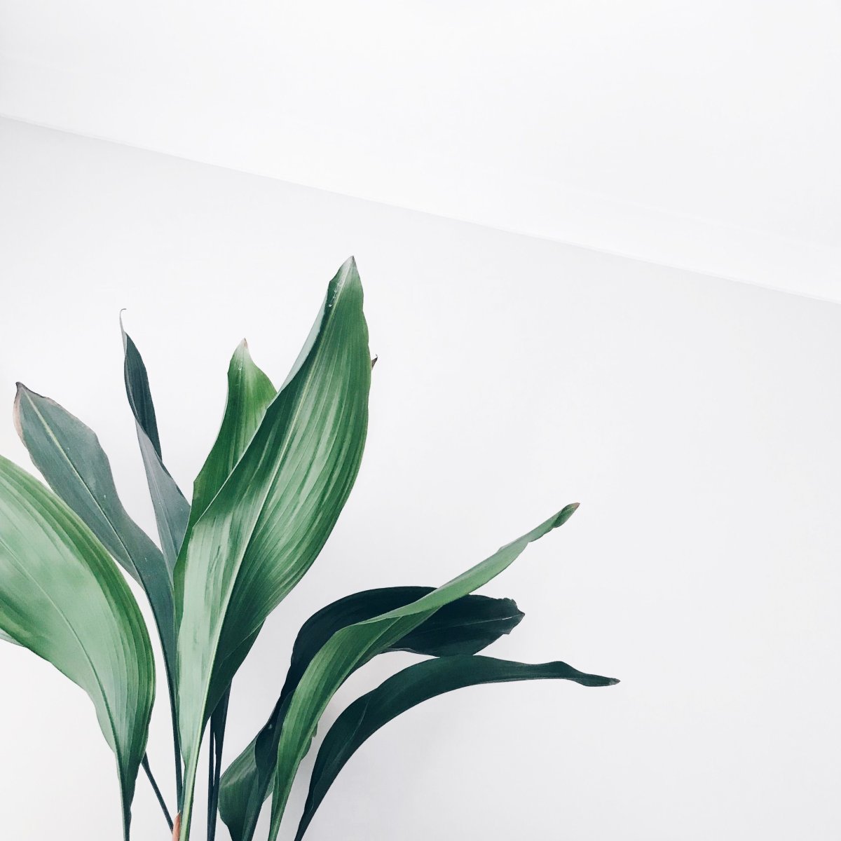 Офис в стиле Сканди