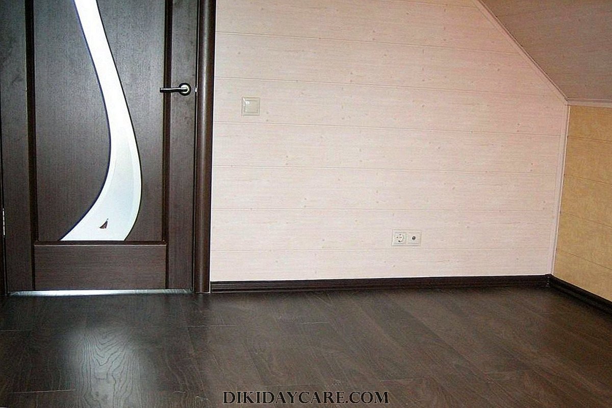 Плинтус и наличник