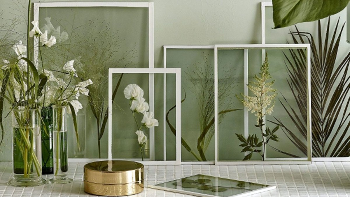 Растения за стеклом