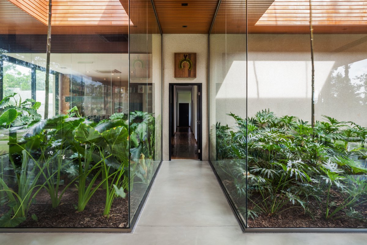 Растения за стеклом в интерьере