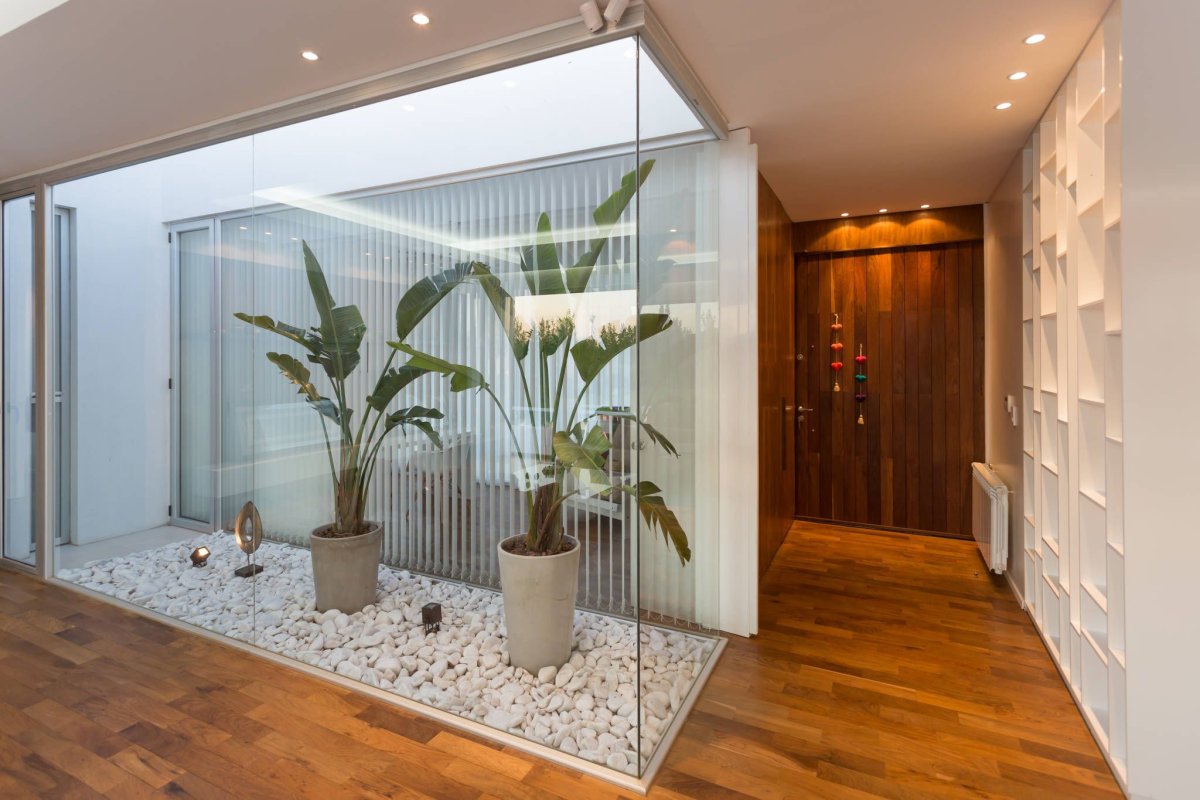 Стеклянный сад в интерьере