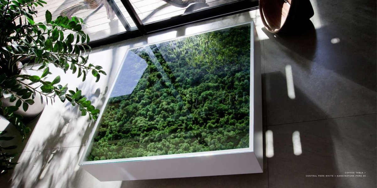 Стол с растениями под стеклом