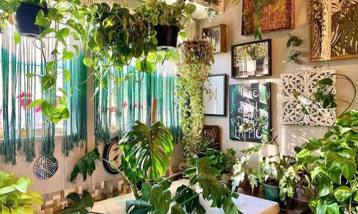 Перегородка для цветов