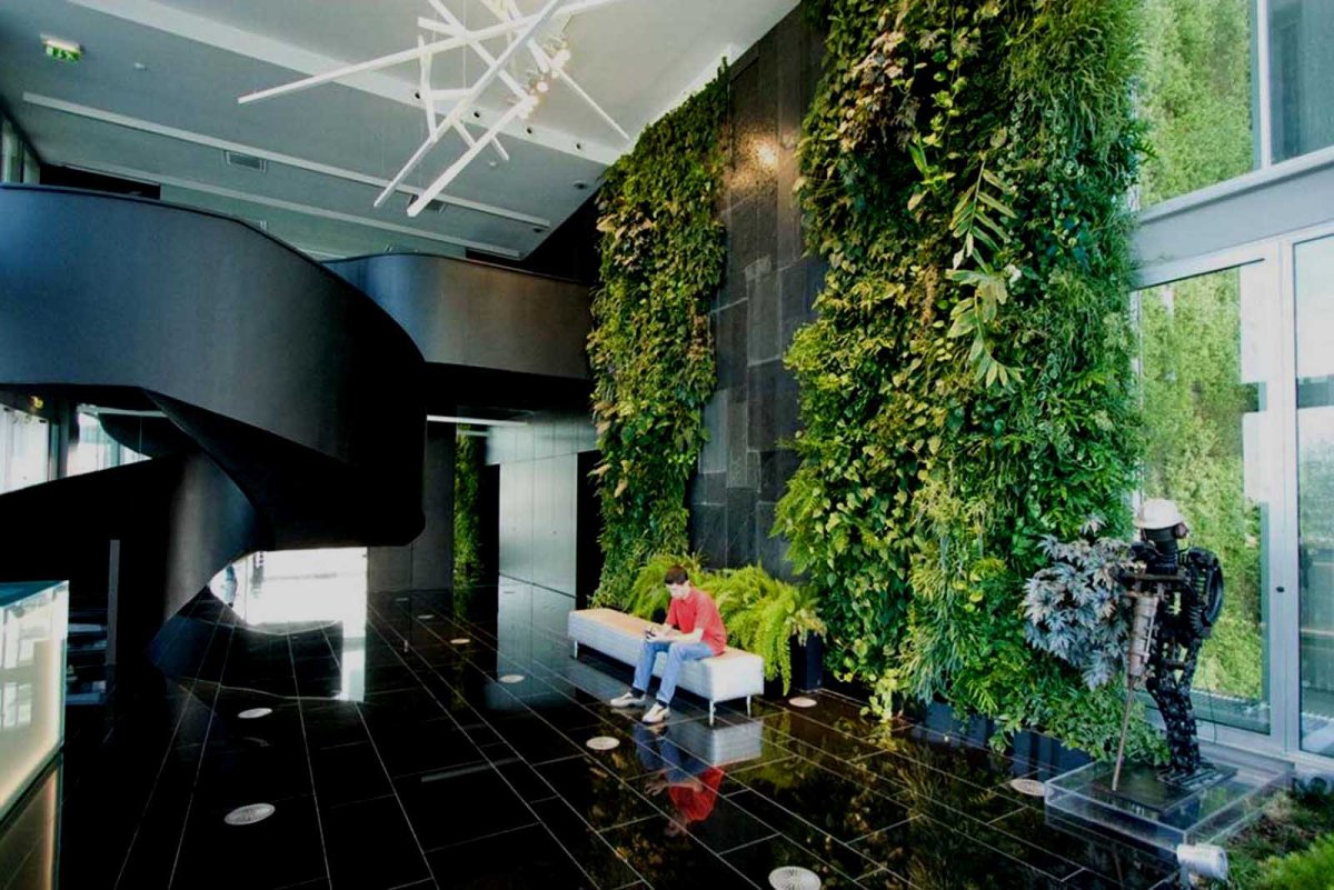 Растения Минимализм дизайн арт