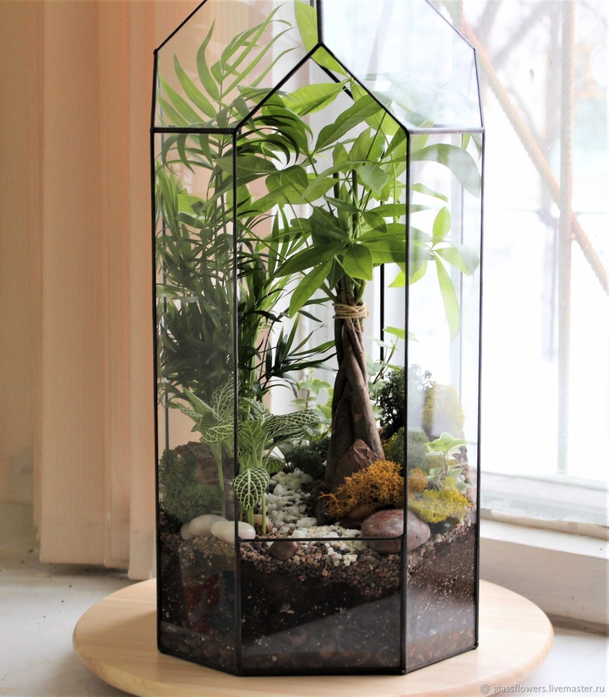 Флорариум с кактусами