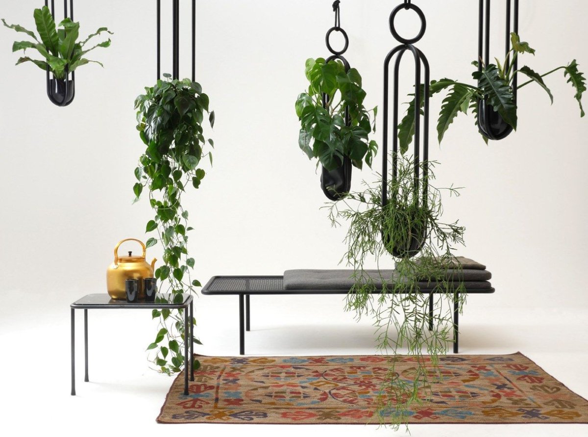 Орхидеи в подвесных кашпо в интерьере