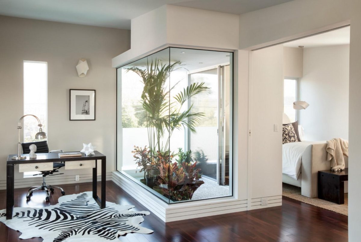 Растения за стеклом в интерьере