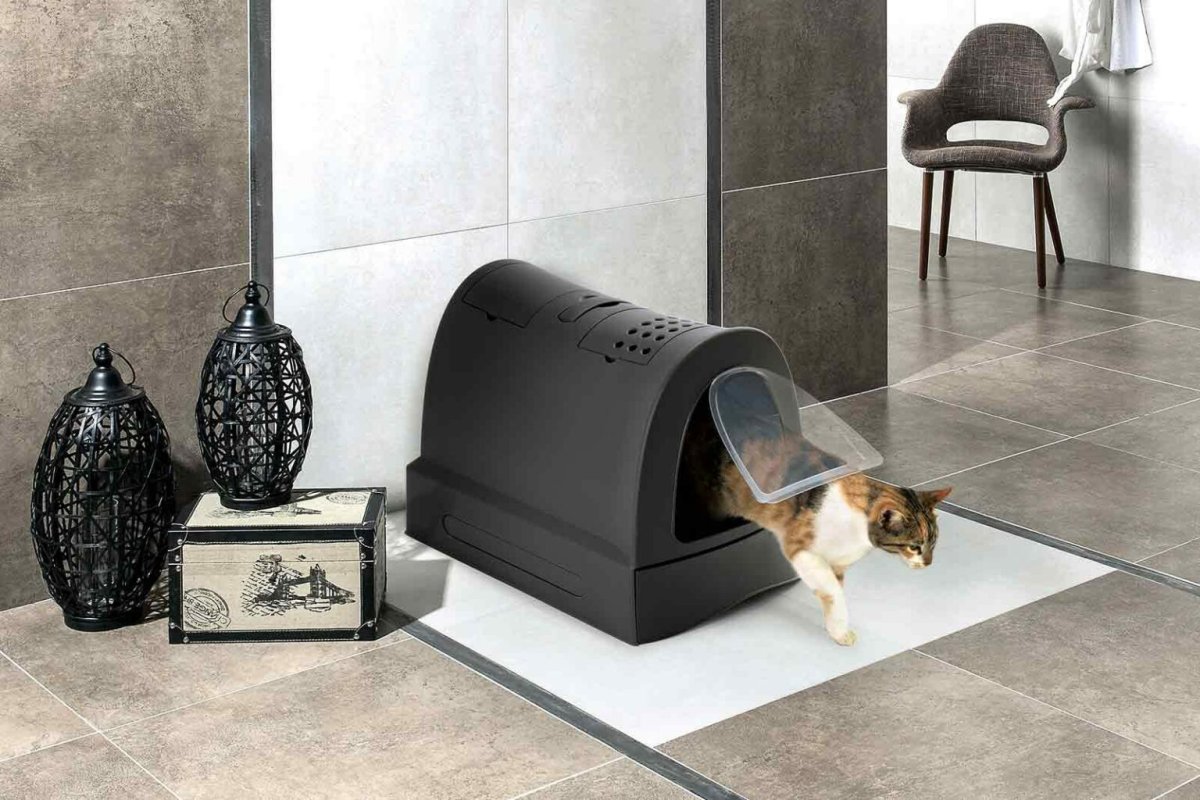 Дизайнерский туалет для кошек Poopoopeedo