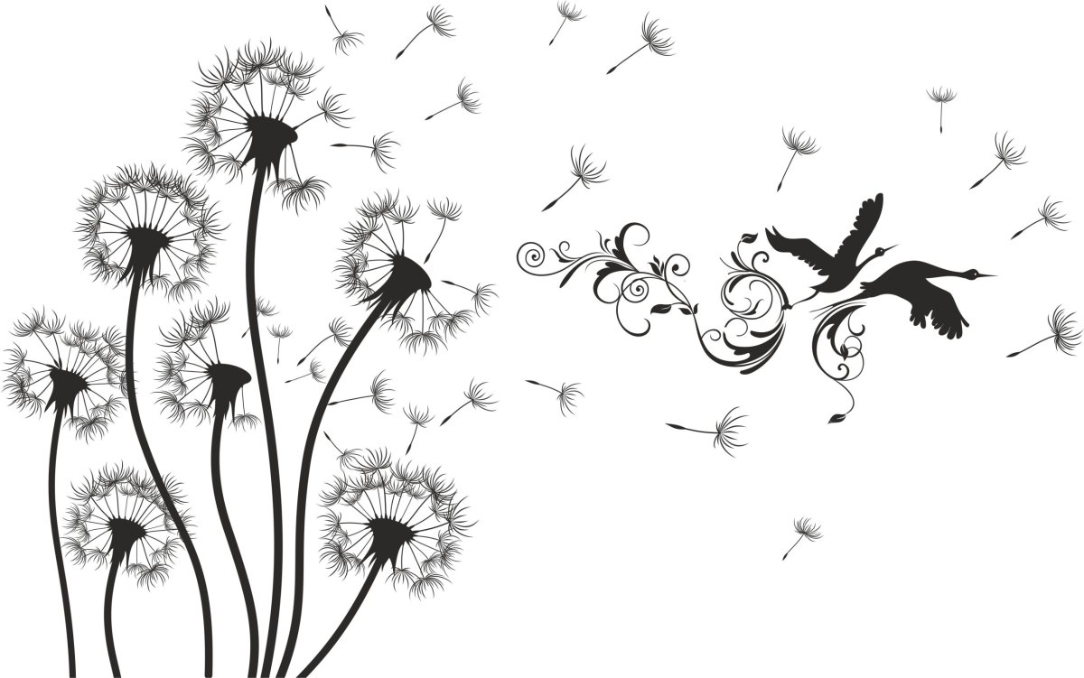 Трафарет одуванчика на стену