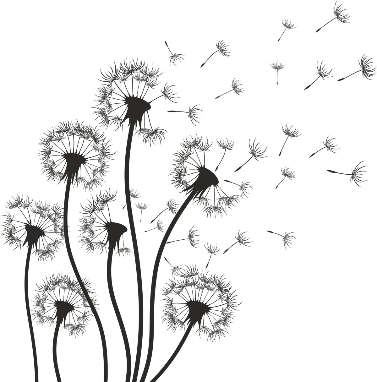 Трафарет одуванчика на стену