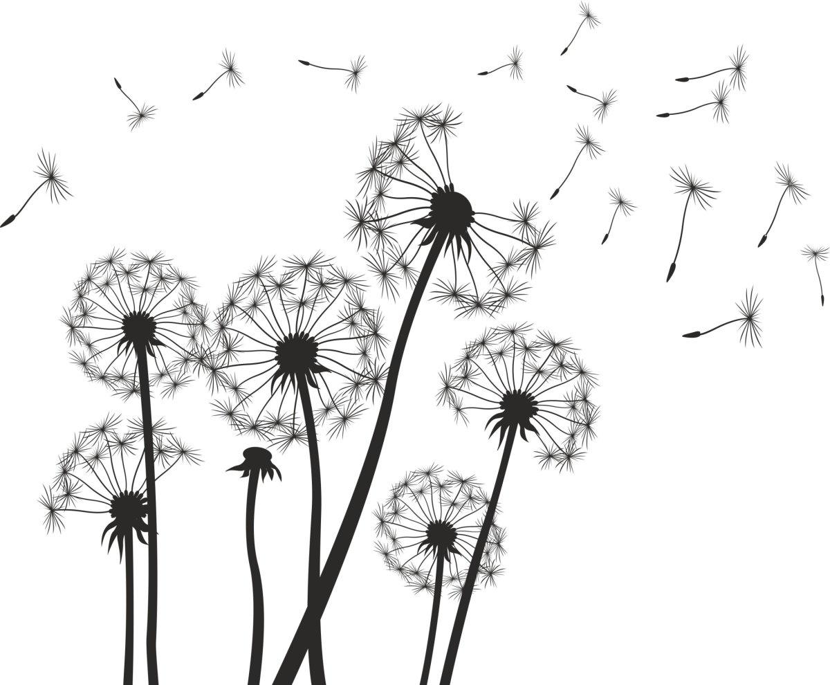 Наклейка - одуванчики