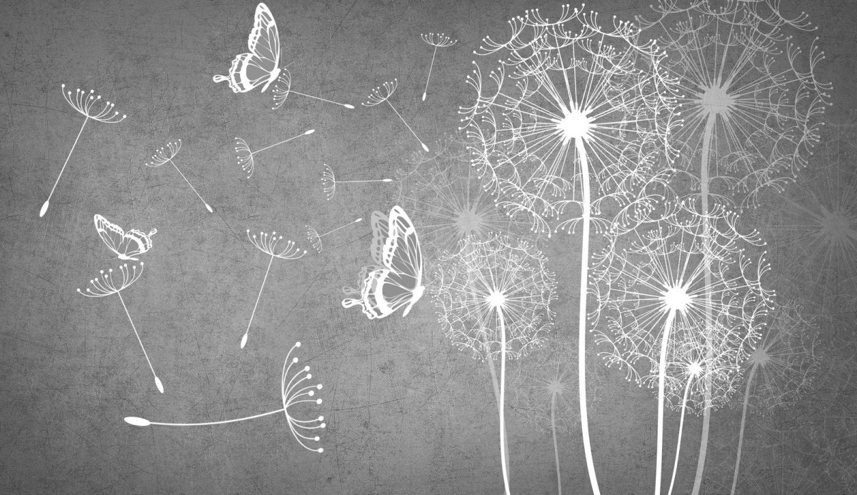 Обои с одуванчиками для стен