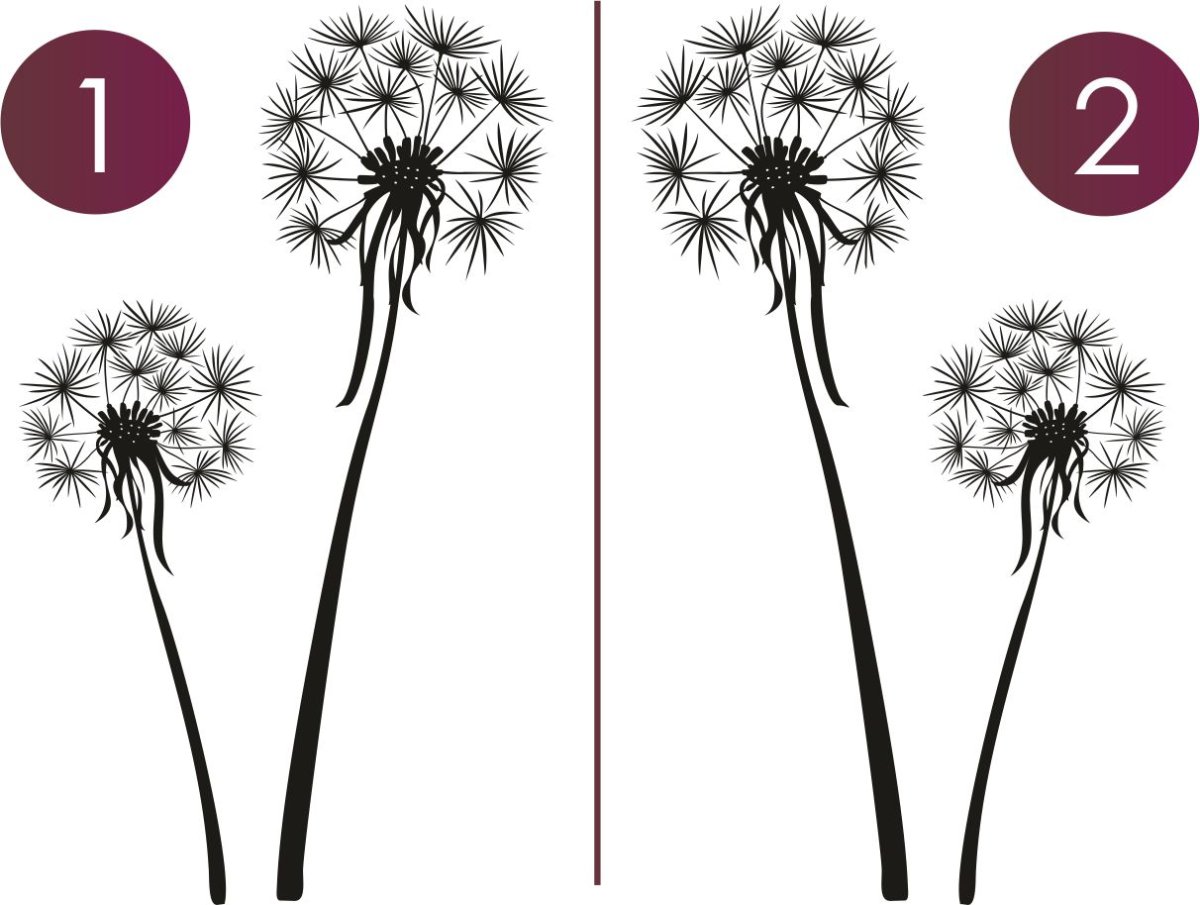 Трафарет одуванчик на стену под покраску