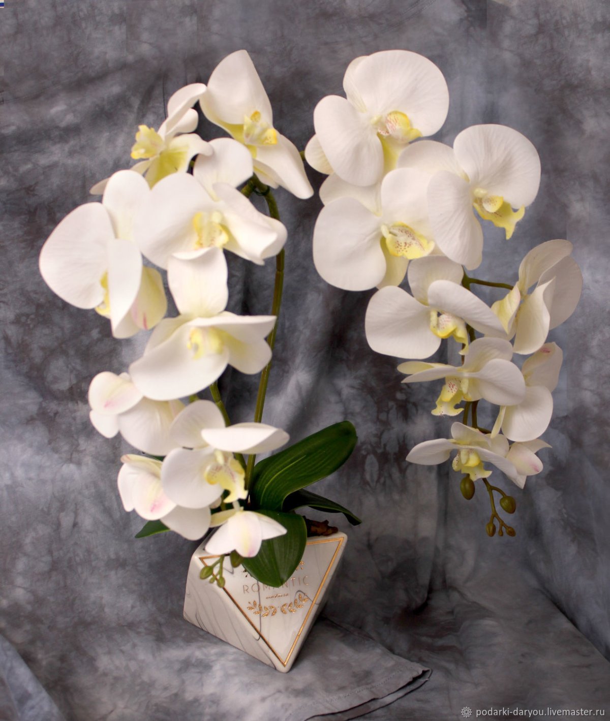 Композиции с орхидеями живыми