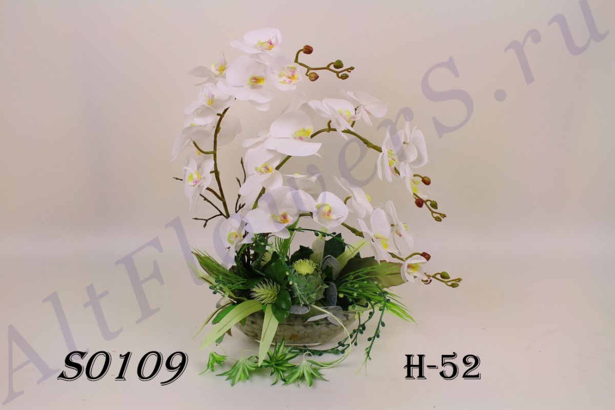 Красивые растения коллекция