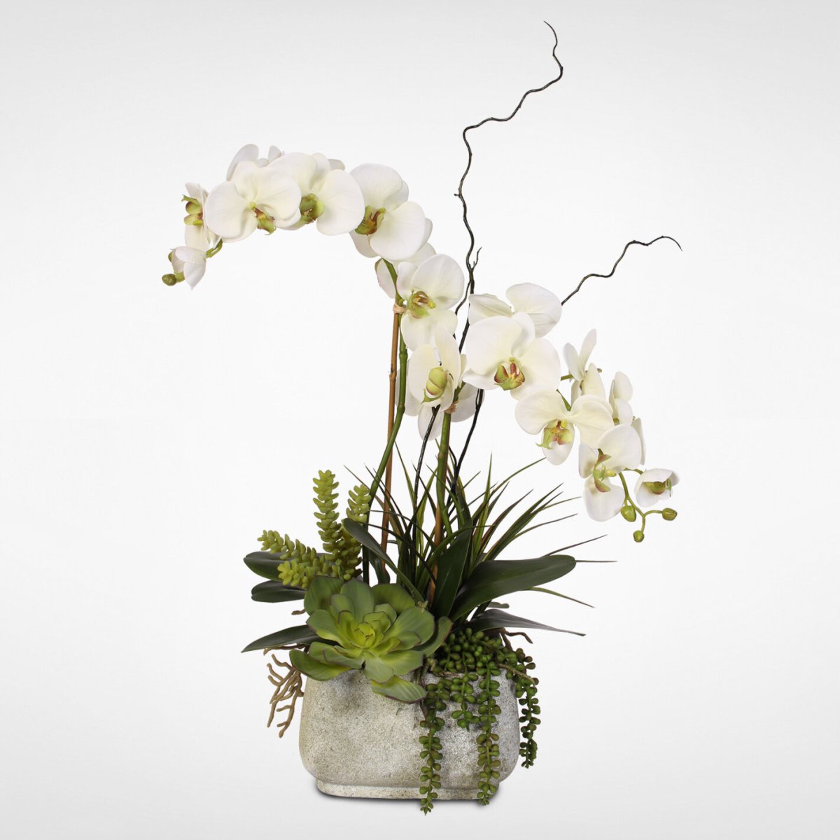 Композиция из орхидей