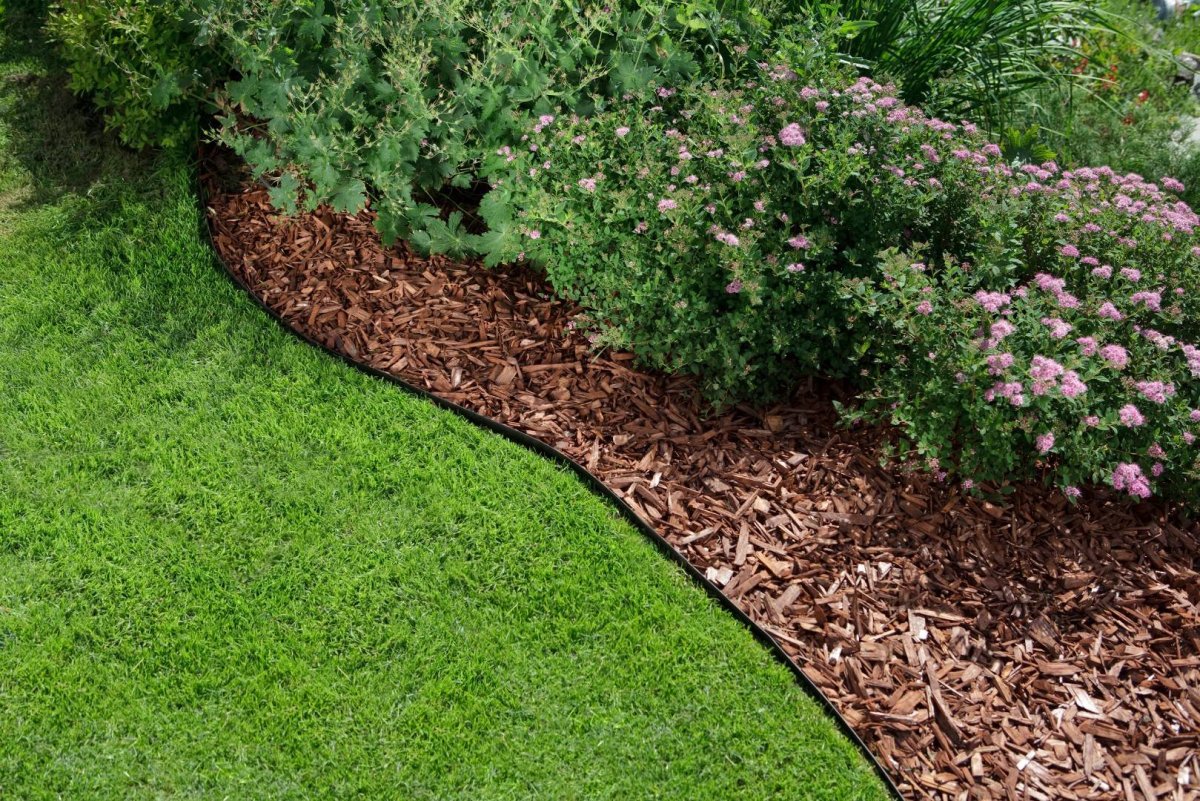 Мульчирование кустарников щепой