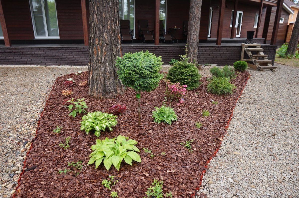 Мульчирование Розария щепой