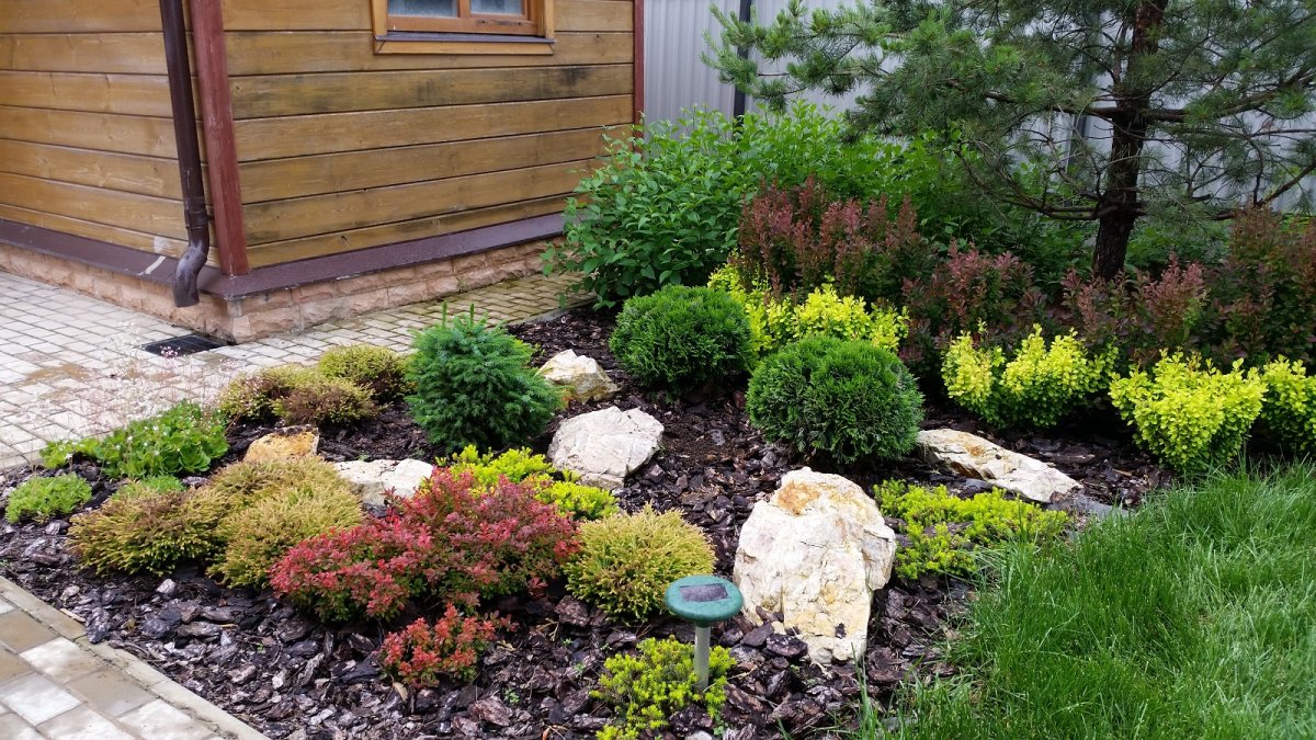 Альпийская горка мульчирование