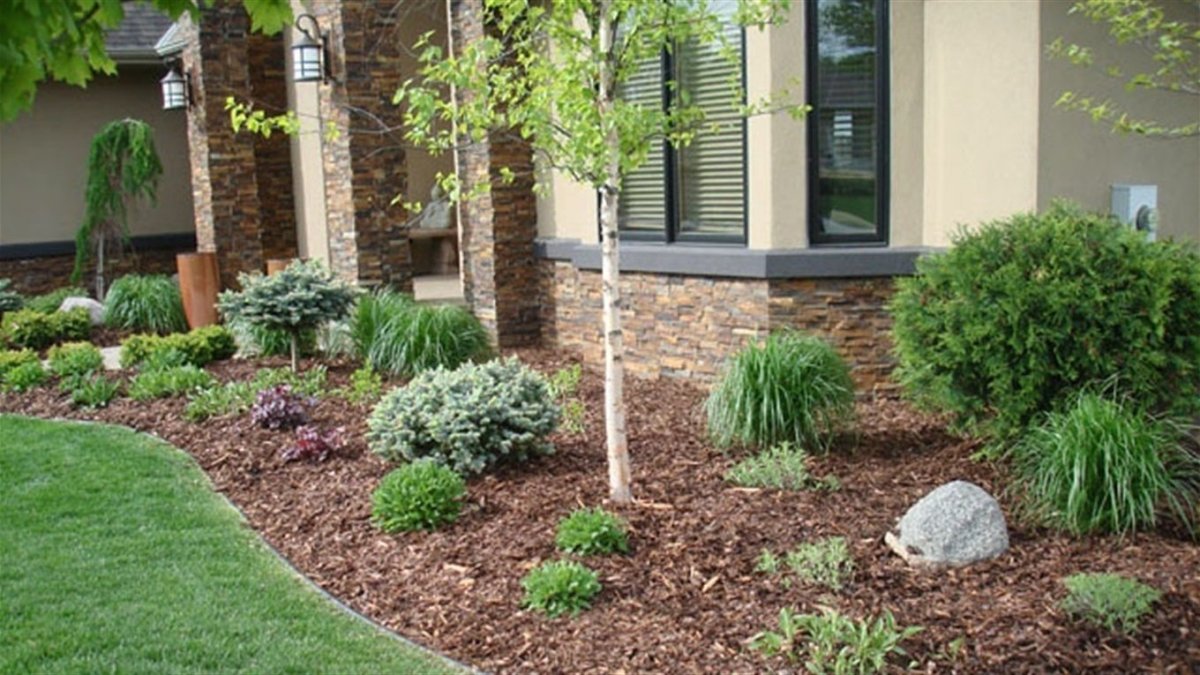 Мульчирование хвойников корой