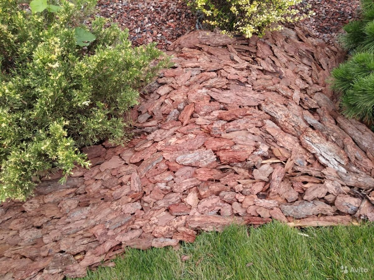Кора лиственницы для мульчирования