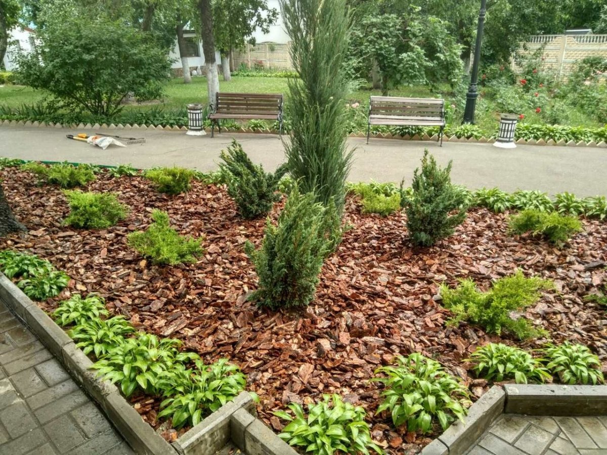 Кора мульча