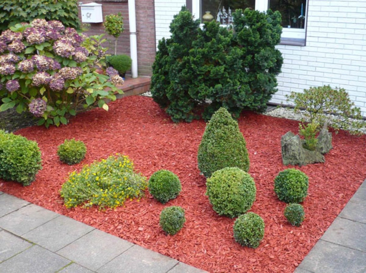 Мульчирование шишками хвойники