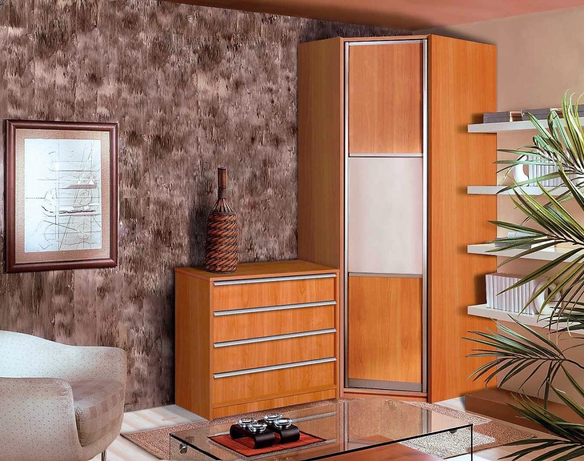 Гардеробные комнаты в скандинавском стиле