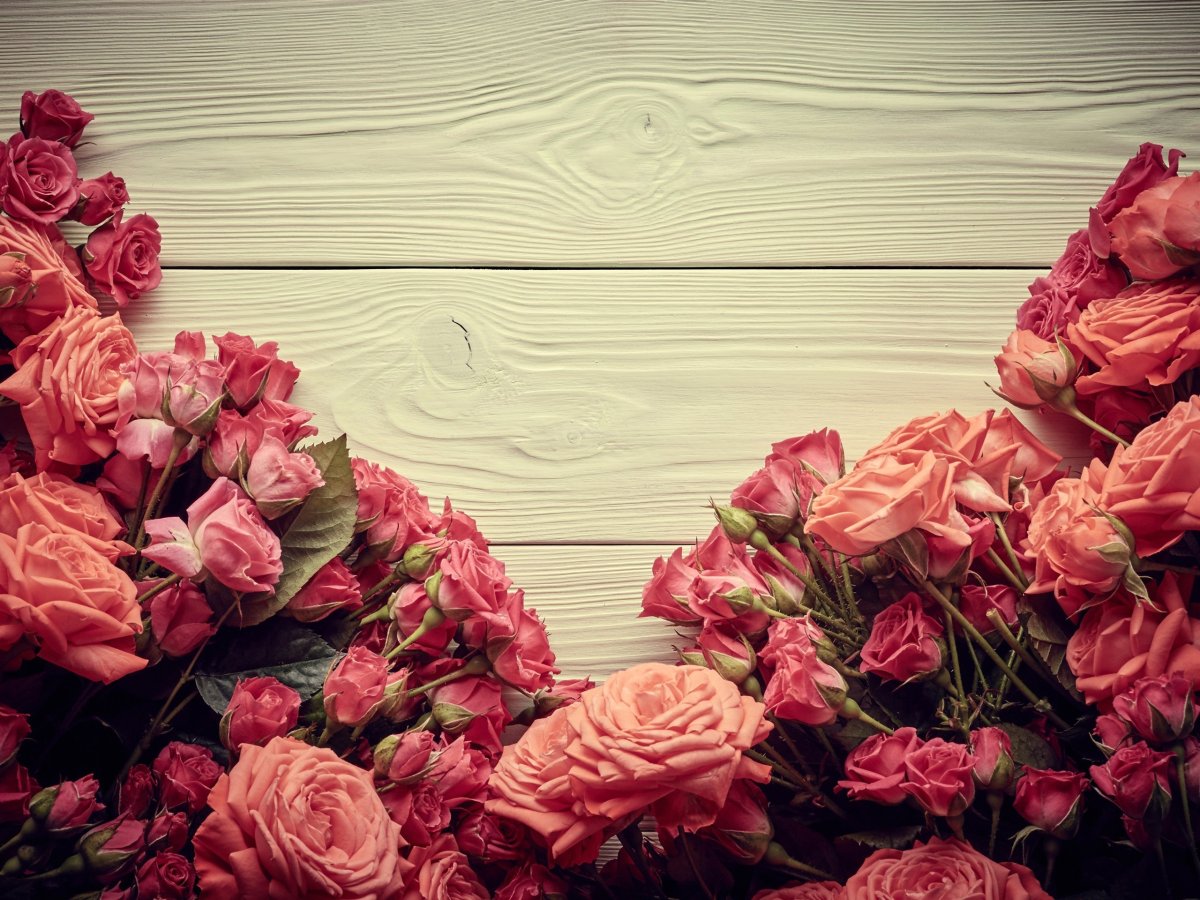 Фотообои розы