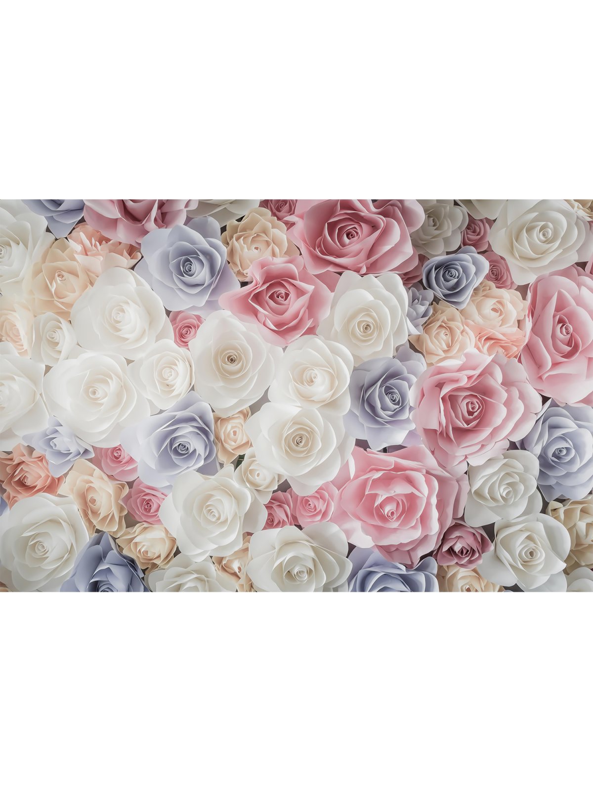 Фотообои цветы