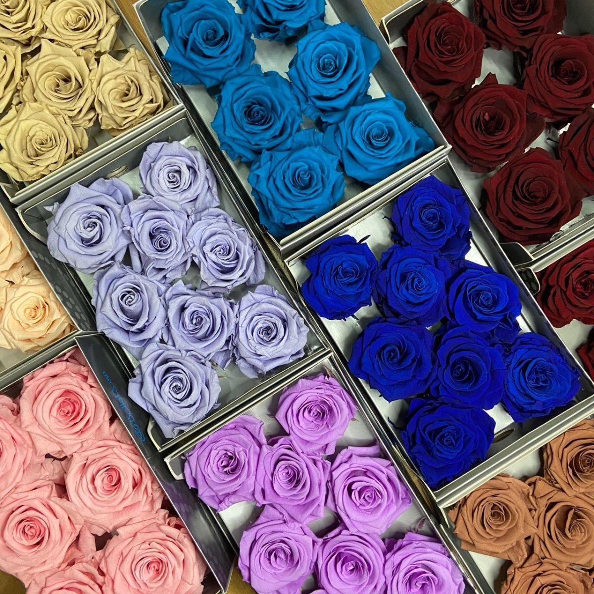 Сортировка розы Эквадор