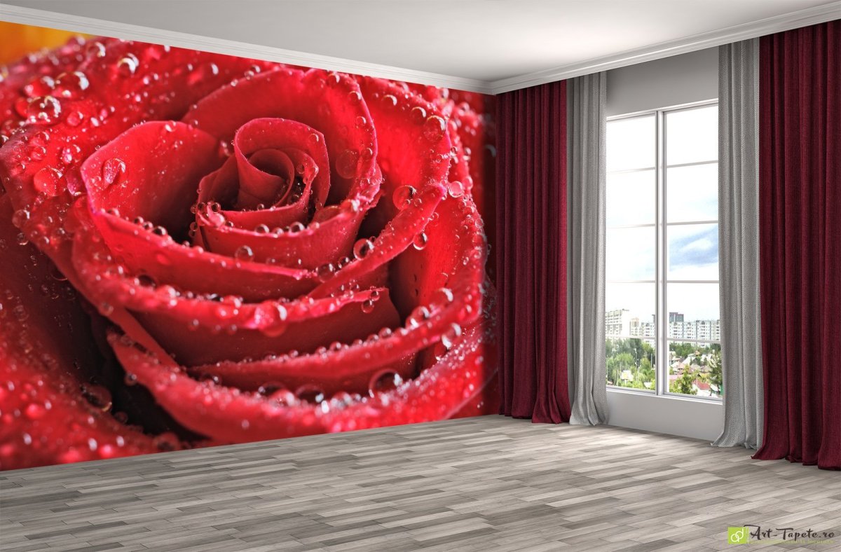 Фотообои красные розы
