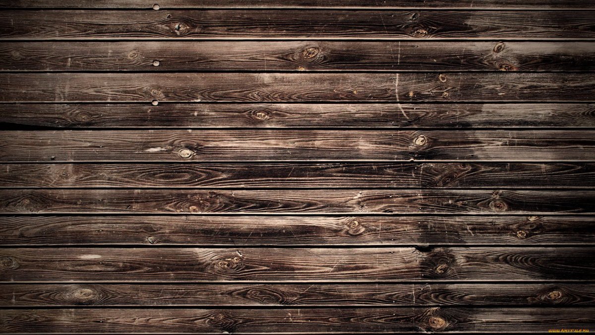 Бревенчатая стена