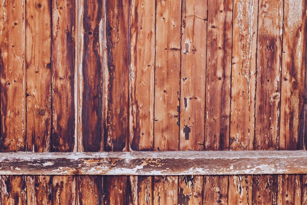 Текстура дерева