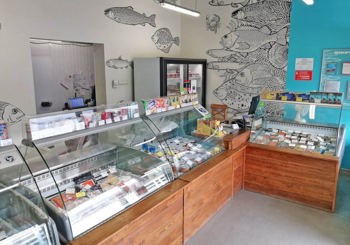 Проект рыбного магазина