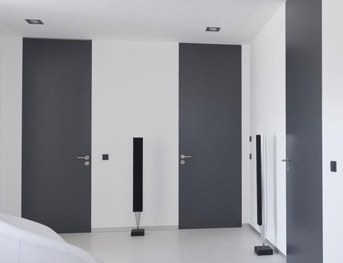 Двери Софья Skyline в интерьере