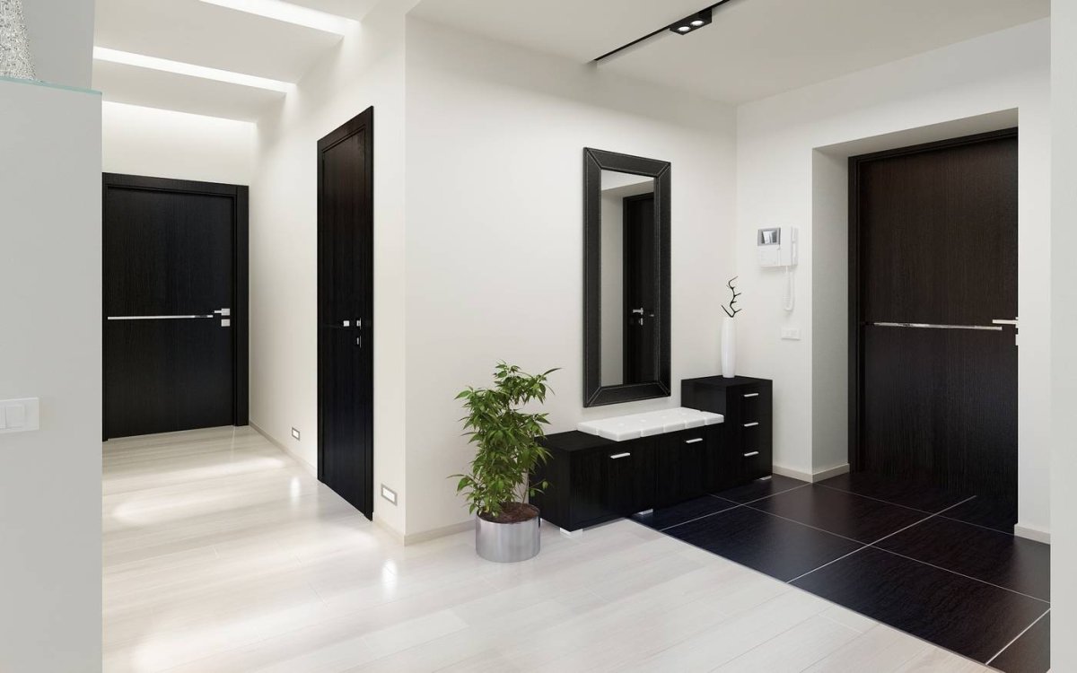 Темные двери в интерьере