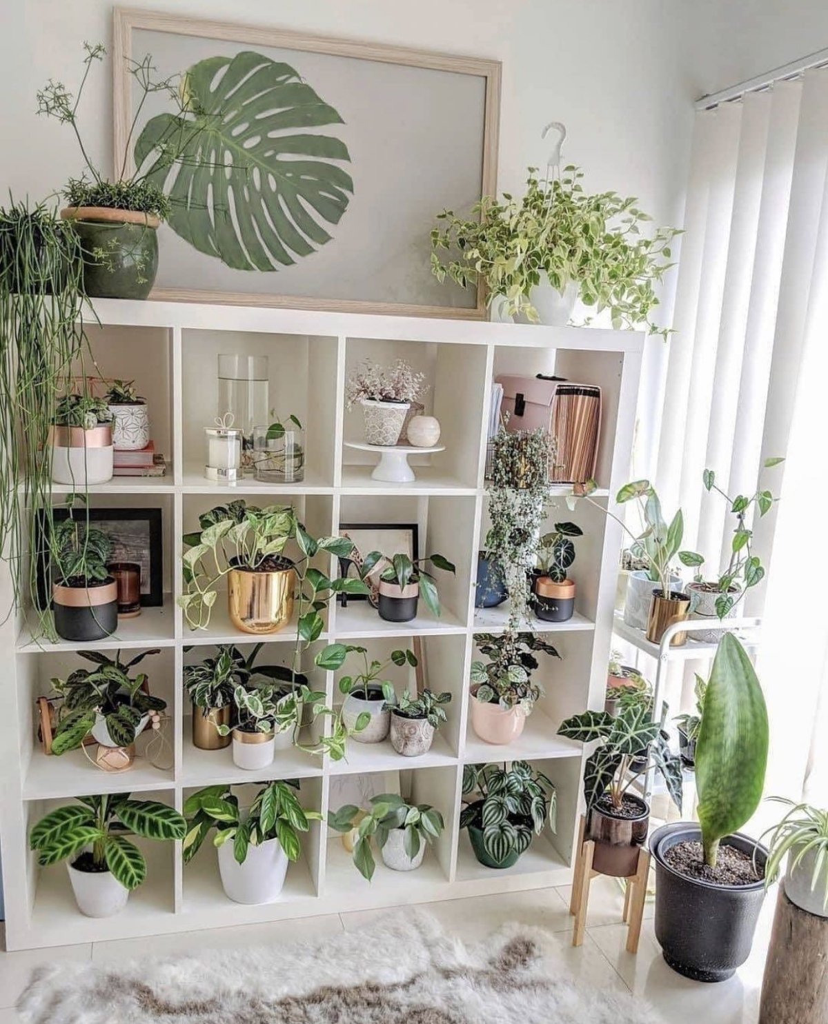 Декор для домашних растений