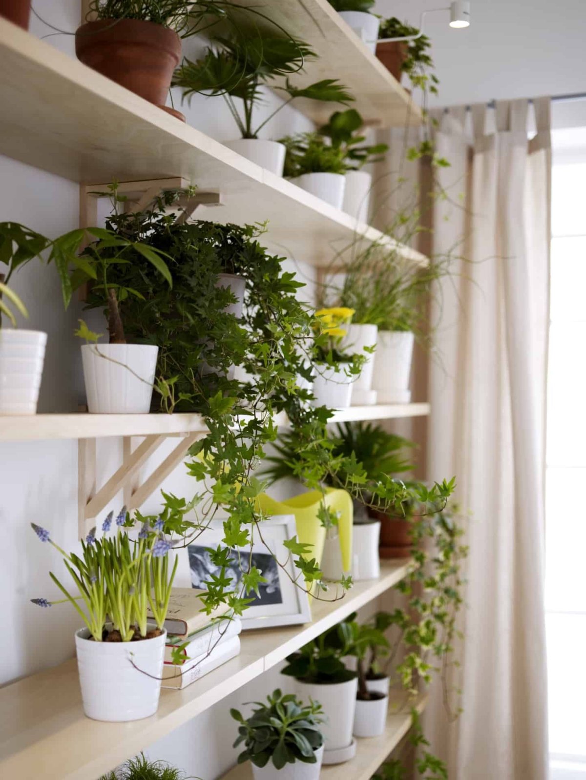 Цветочные стеллажи в интерьере