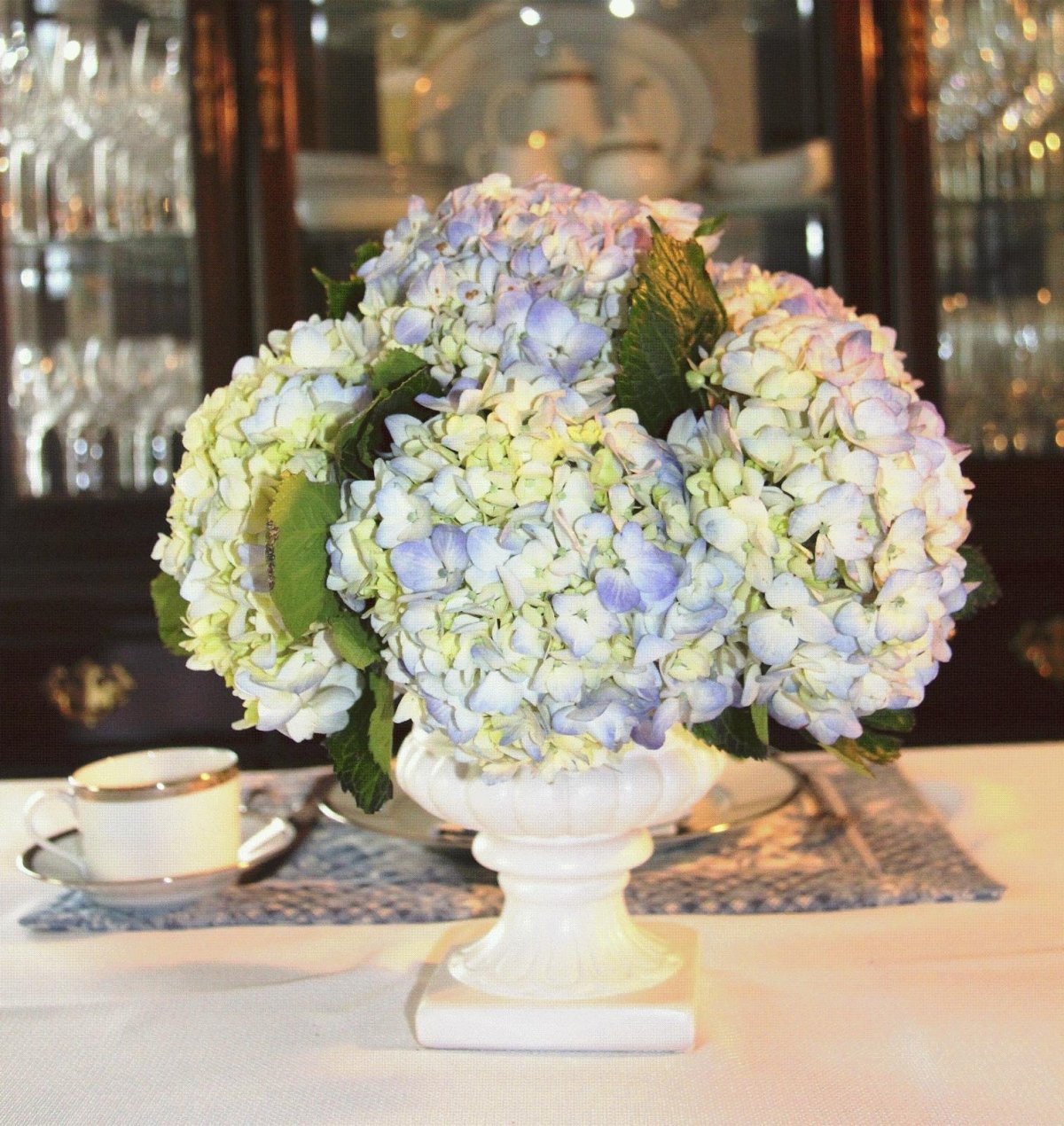 Гортензия синяя в горшке