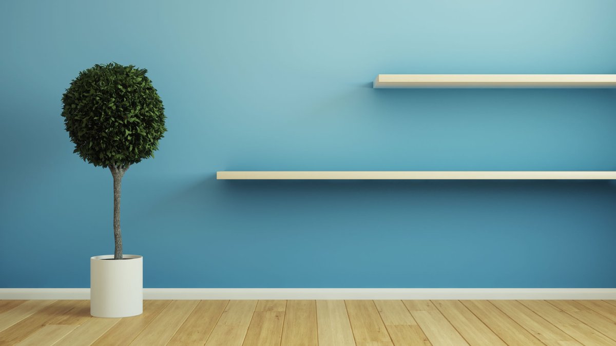 Пустые полки