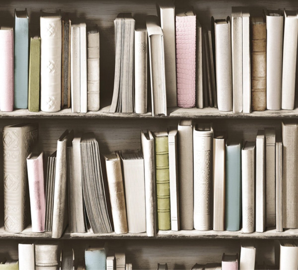 Стеллаж с книгами Эстетика