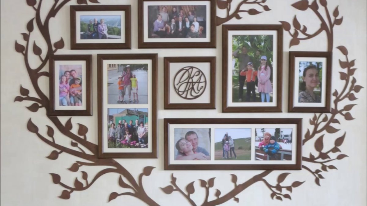 Коллаж семейное дерево