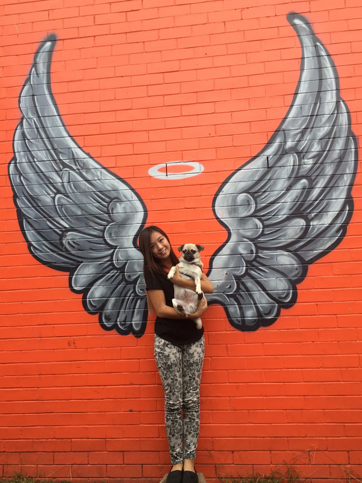 Крылья на стене