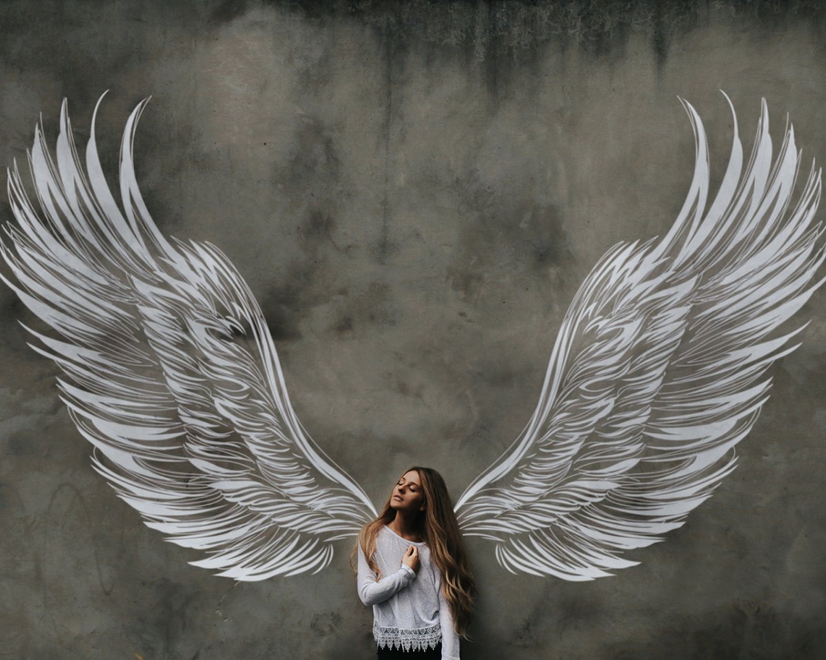 Крылья бабочки на стене