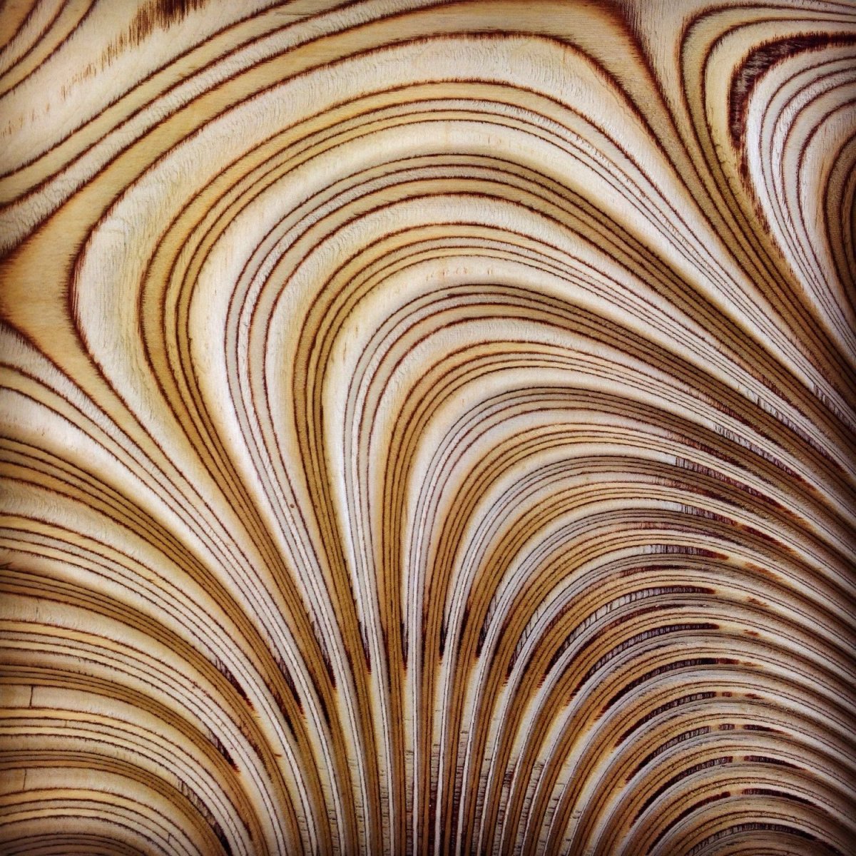 Текстурированная фанера